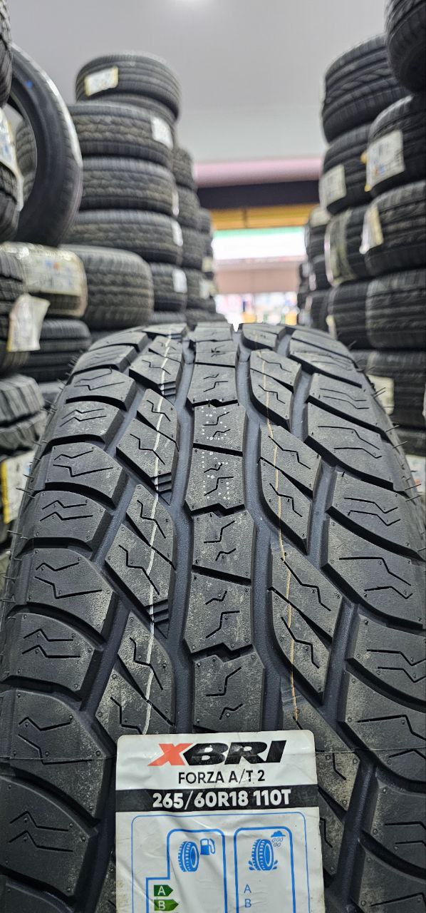 Trilhas, estradas, destinos, todos conquistados com a robustez do Forza A/T 2.Enfrente qualquer desafio com durabilidade excepcional.Tração impecável em todas as condições, segurança em cada curva.Mais quilômetros com menos combustível, sustentabilidade com potência. Valor somente *À VISTA*!Para parcelamento consultar loja.