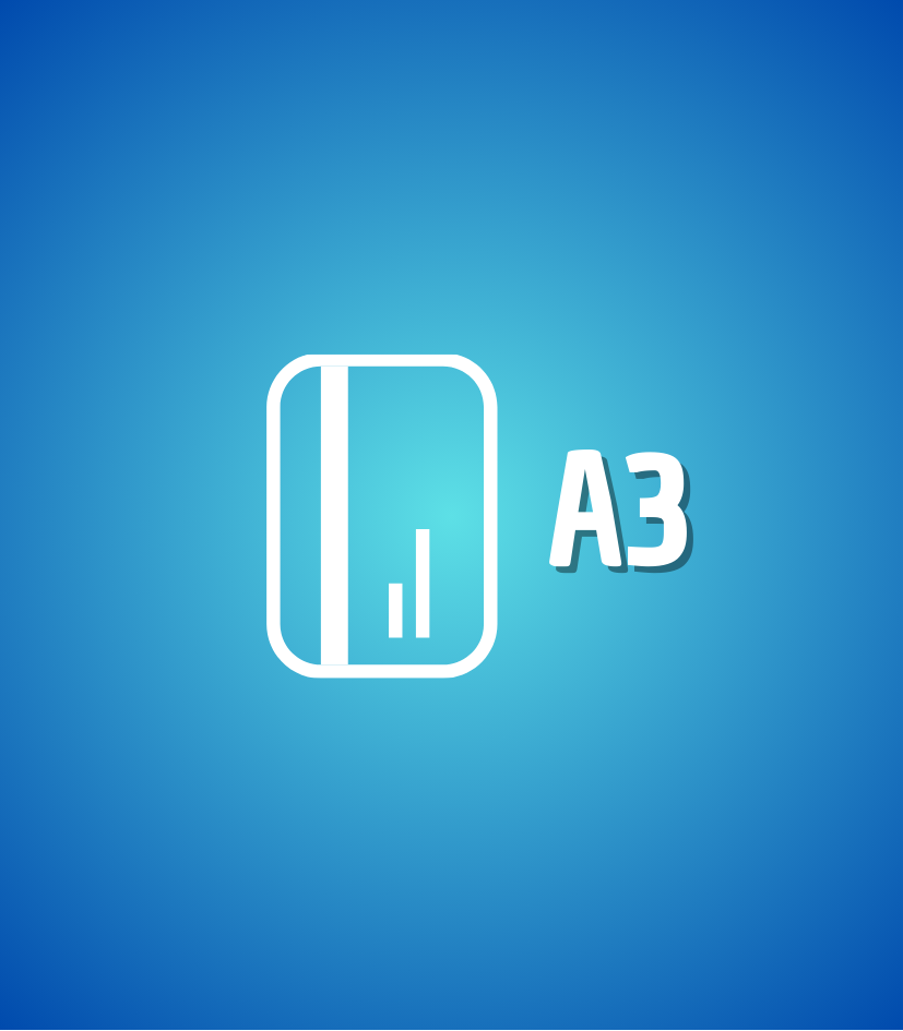 A3 - Pessoa Física - PF: (Armazenado em token ou smartcard; Validade: até 5 anos; Uso: Assinatura digital, acesso a sistemas governamentais, envio de declarações fiscais).

A3 - Pessoa Jurídica - PJ: (Armazenado em token ou smartcard; Validade: até 5 anos; Uso: Emissão de notas fiscais, assinatura de contratos, acesso a serviços online).
